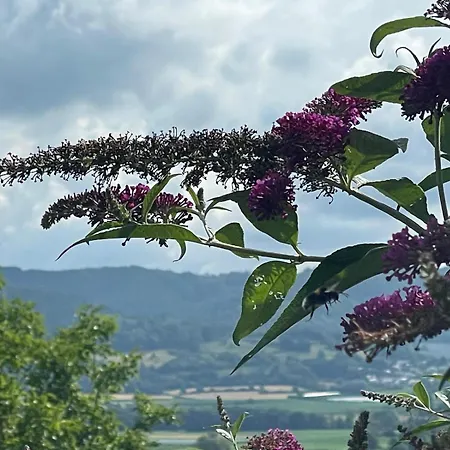 - In Der Hohen Eich Eg Uberlingen