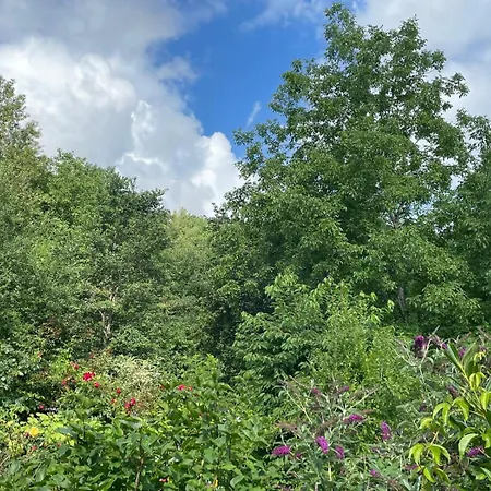 Appartement - In Der Hohen Eich Eg