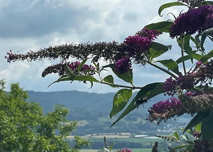 - In Der Hohen Eich Eg Uberlingen