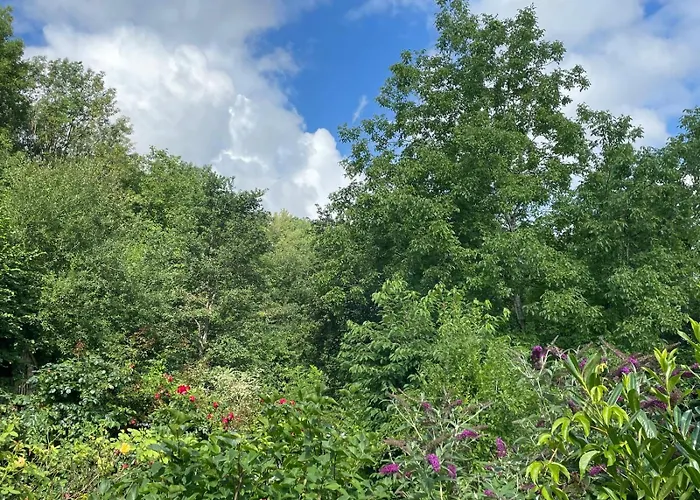Lägenhet - In Der Hohen Eich Eg