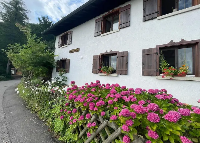 - In Der Hohen Eich Eg